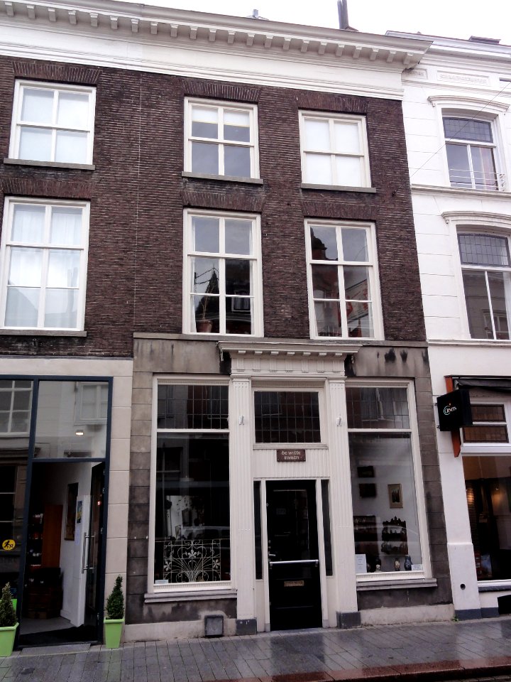 's-Hertogenbosch_Rijksmonument_21619_Hinthamerstraat_199