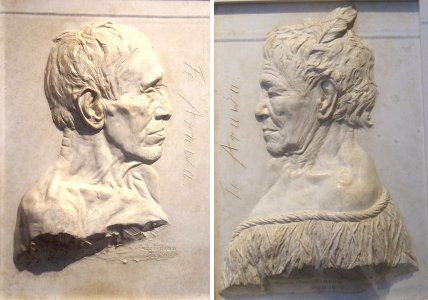'Maori_Types'_by_Allen_Hutchinson,_plaster_casts,_Biship_Museum