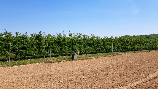 's-Gravenvoeren-Libeek-Grenspaal_27a_(BE-NL)_(7)