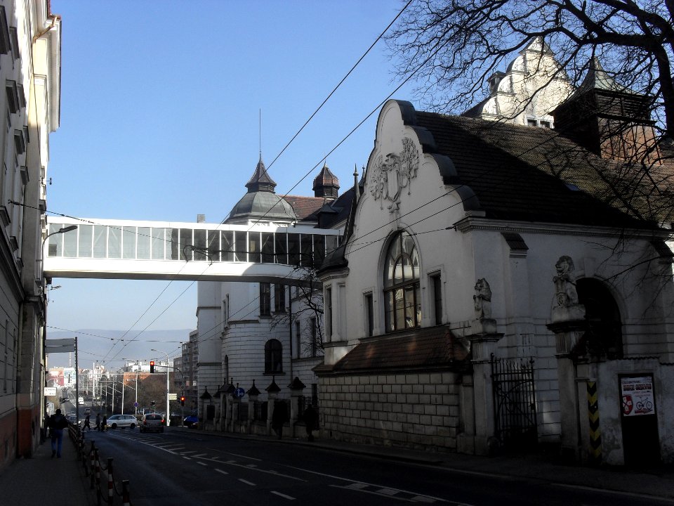 (TTO)_Gymnázium_(Teplice)_17