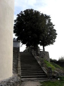 (TTO)_Hrad_Doubravská_hora,_zřícenina_(Teplice)_4_10_2013_107
