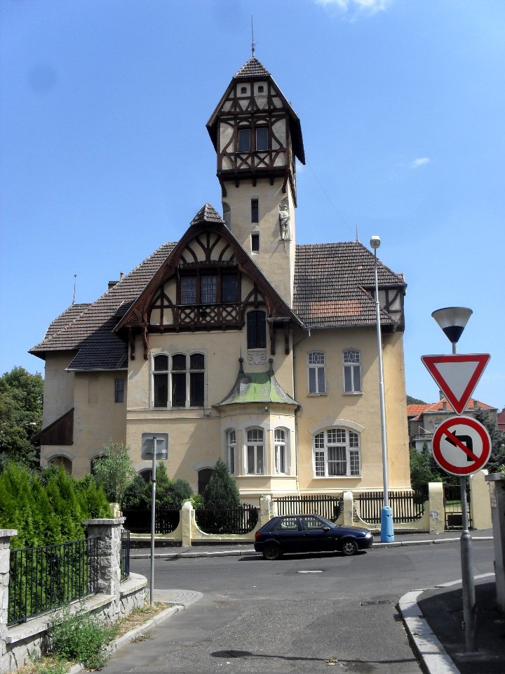 (TTO)_Vila_(Teplice)_-_Pod_Doubravkou_1348-10,_Teplice_3