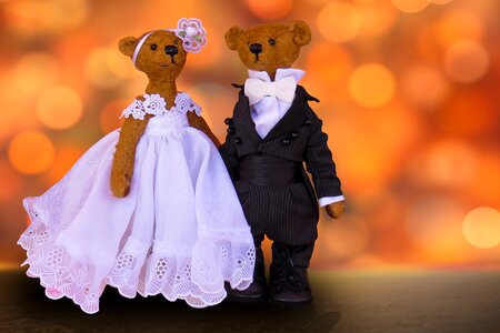 Teddy teddy bears wedding dress