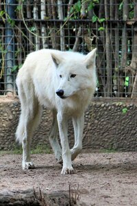 Animal world zoo berlin