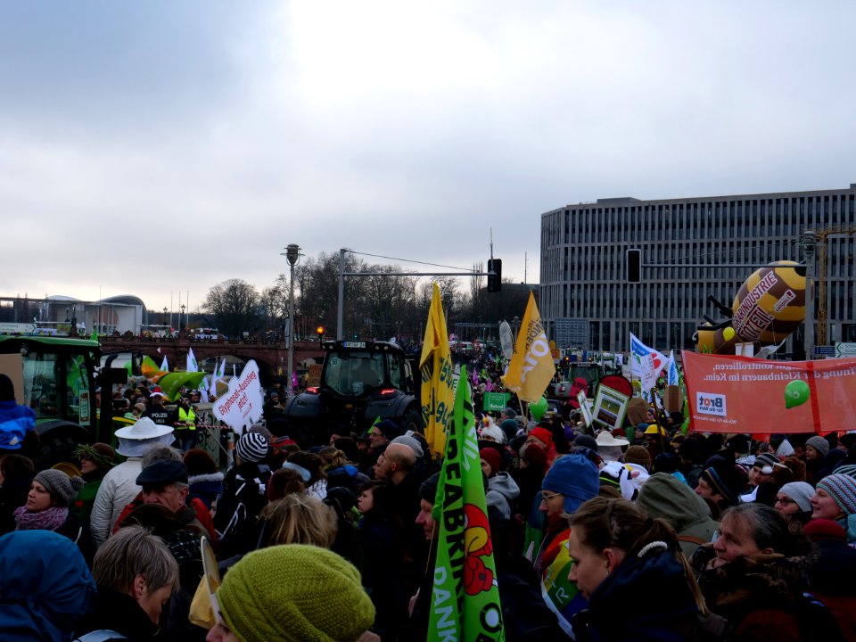 "Wir_Haben_Es_Satt!"_Demonstration_2018_06