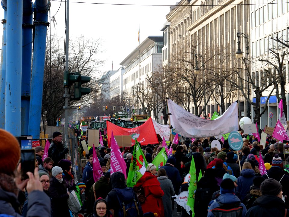 "Wir_Haben_Es_Satt!"_Demonstration_2019_17