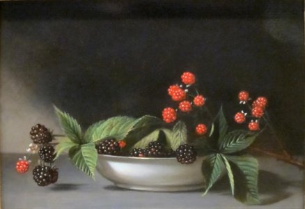 'Blackberries'_by_Raphaelle_Peale,_c._1813