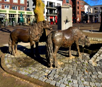 "Twee_Shetlandpony's"_(Toon_Grassens,_1982)