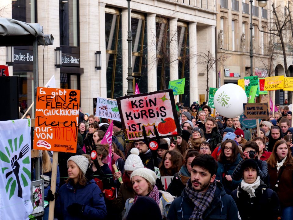 "Wir_Haben_Es_Satt!"_Demonstration_2019_19