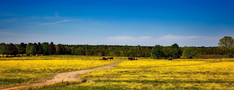 Hdr landscape scenic photo