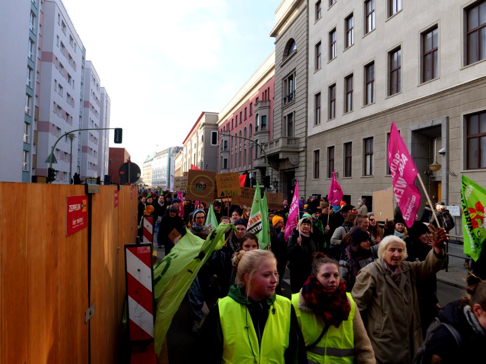 "Wir_Haben_Es_Satt!"_Demonstration_2019_13