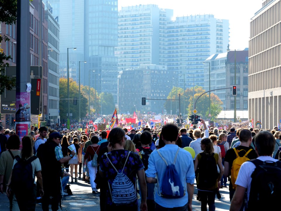 "Unteilbar"_Demonstration_14