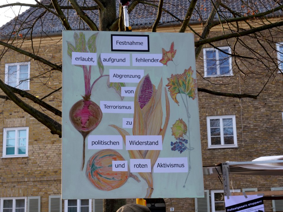 "noPolGBbg"_Demonstration_Potsdam_10-11-2018_04