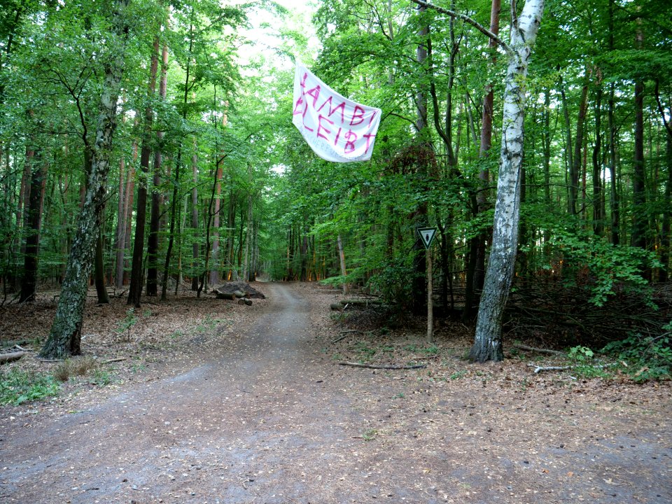 "Hambi_bleibt"_banner_in_the_Spandauer_Forst_01