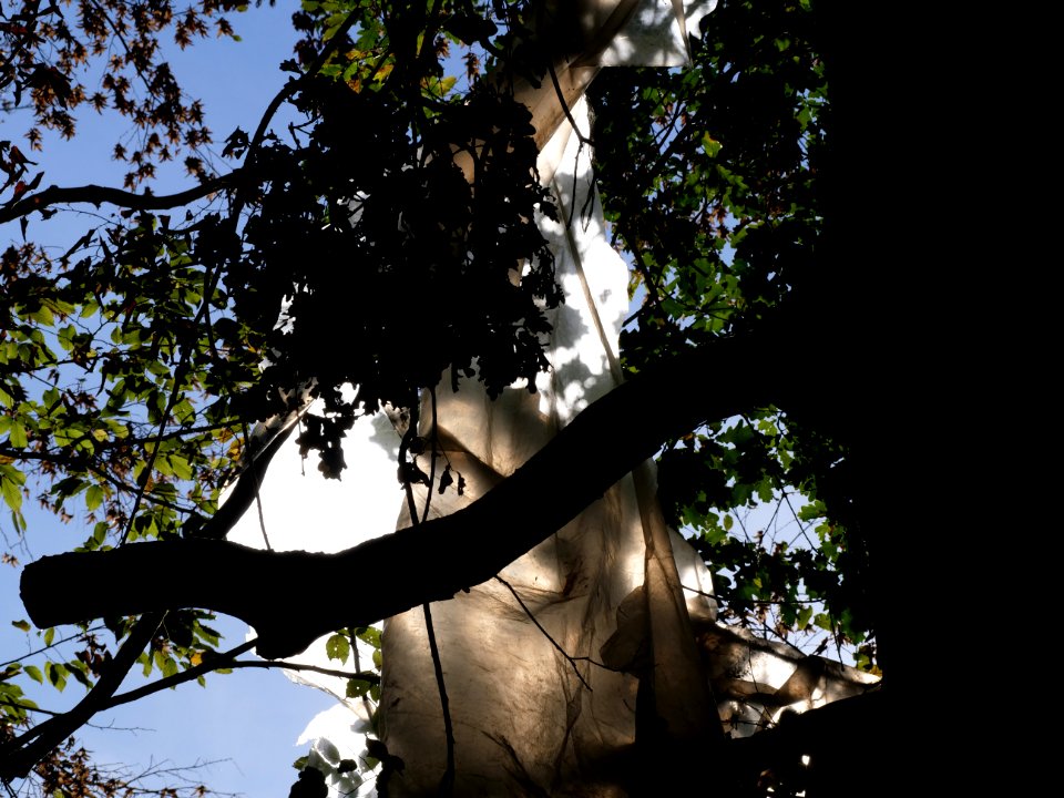 "Gallien"_treehouse_village_after_eviction_01