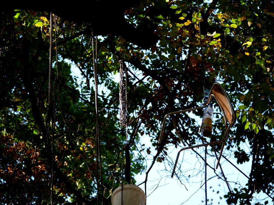 "Gallien"_treehouse_village_after_eviction_05