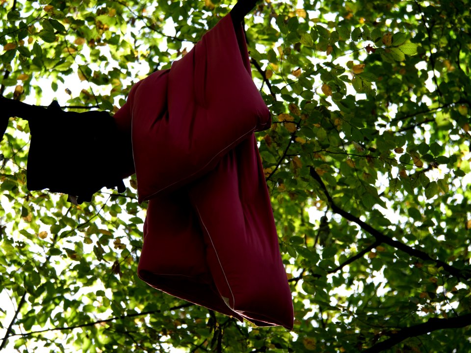 "Gallien"_treehouse_village_after_eviction_08