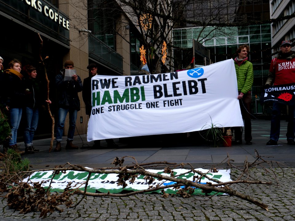 "Hambacher_Forst_Bleibt!"_Protest_in_Berlin_10