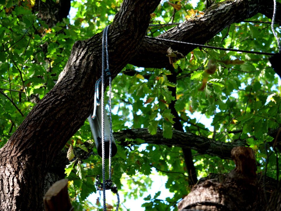 "Gallien"_treehouse_village_after_eviction_06