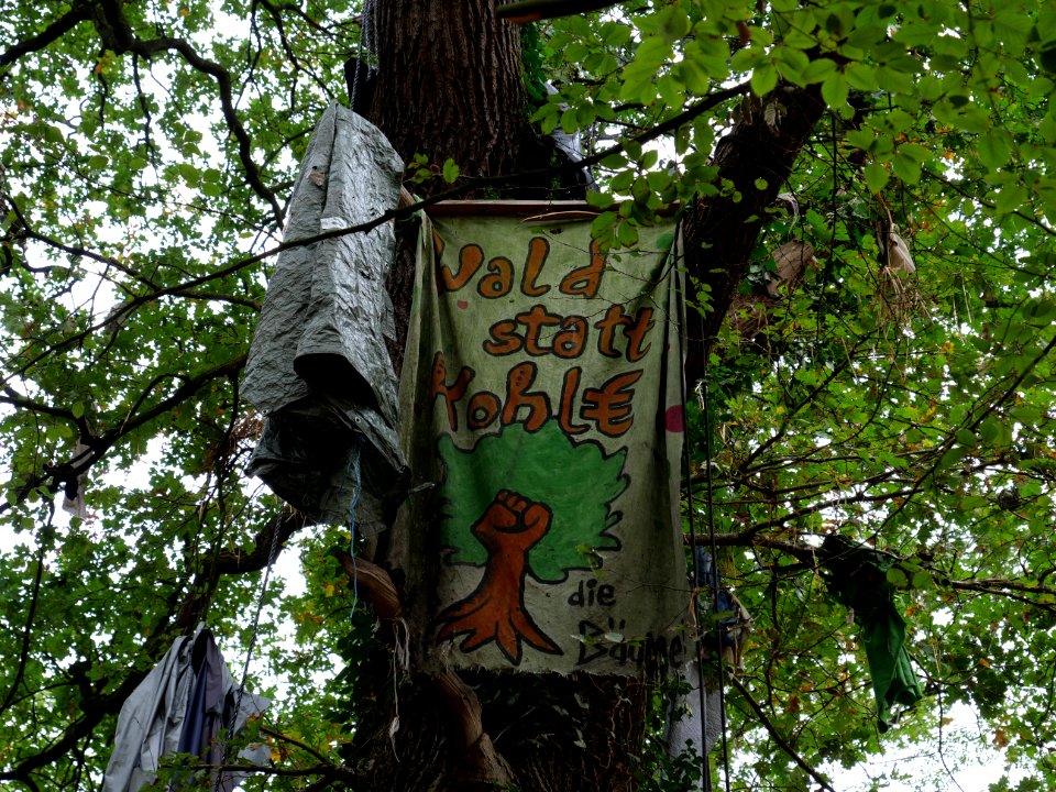 "Oaktown"_treehouse_village_after_eviction_03