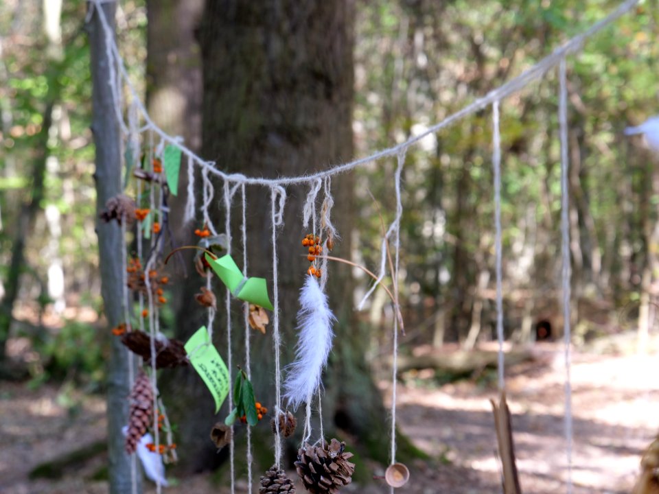 "Oaktown"_treehouse_village_after_eviction_06