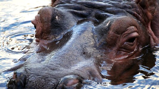 Fauna park animal world