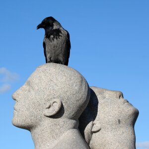 Sculpture park crow photo