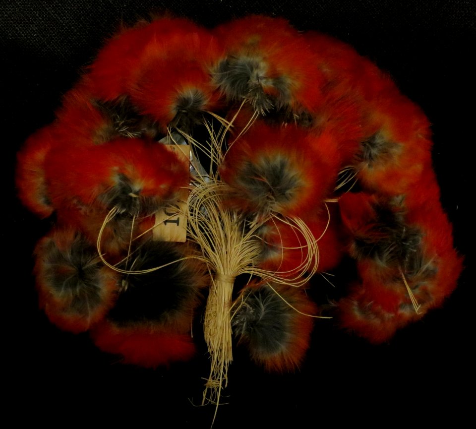 'Uo_'i'iwi,_'i'iwi_feather_bundle_from_Hawaii,_scarlet_honeycreeper_