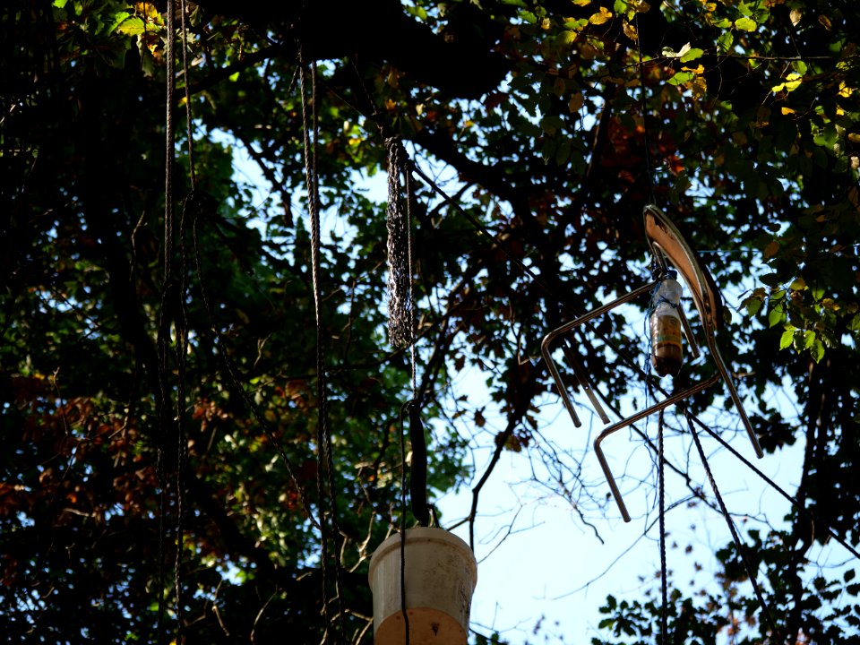 "Gallien"_treehouse_village_after_eviction_04