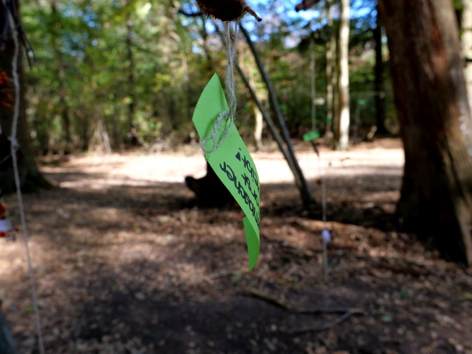 "Oaktown"_treehouse_village_after_eviction_07