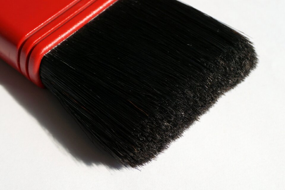 Character device bristles color