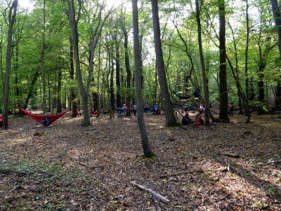 "Ende_Gelände"_06-10-2018_26