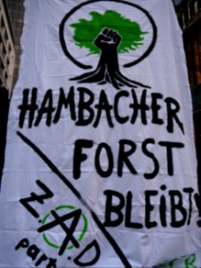 "Hambacher_Forst_Bleibt!"_Protest_in_Berlin_01