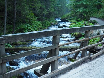 Nature the beauty of the mountains hiking
