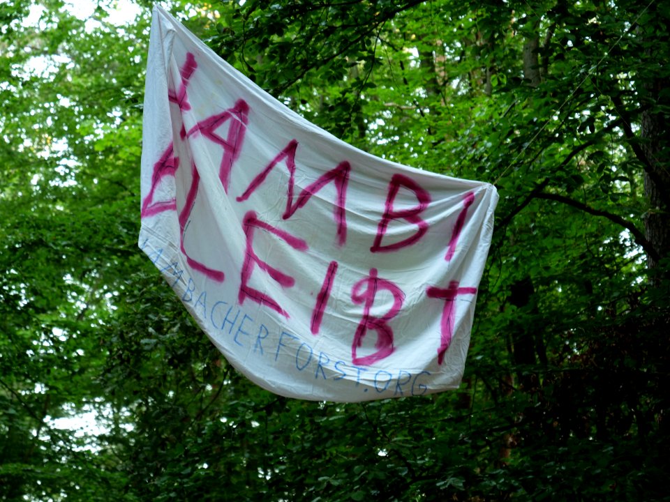 "Hambi_bleibt"_banner_in_the_Spandauer_Forst_02