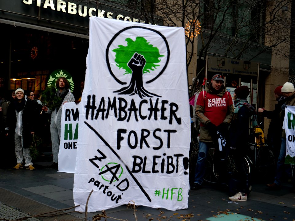 "Hambacher_Forst_Bleibt!"_Protest_in_Berlin_05