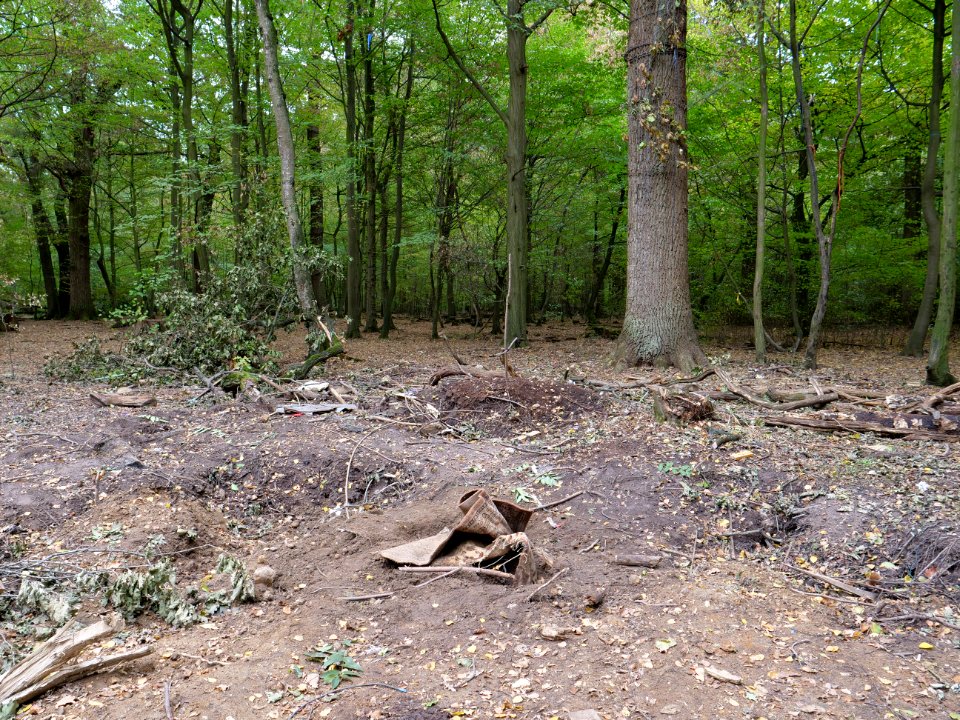 "Oaktown"_treehouse_village_after_eviction_02