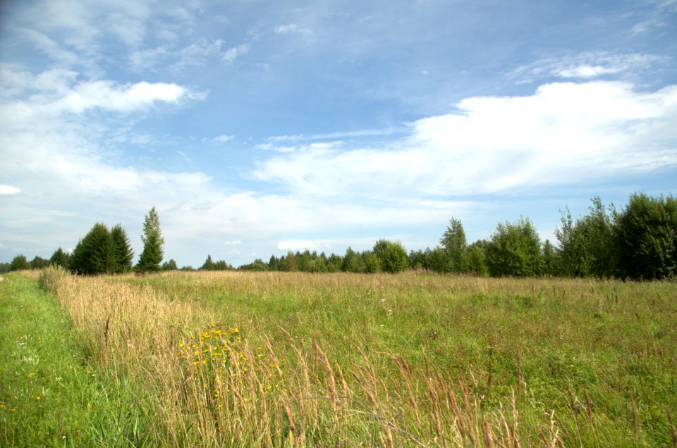 0129_August_2016_in_Tver_Oblast_Russia