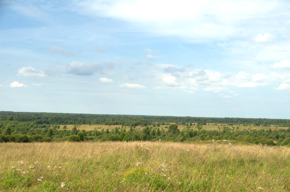0130_August_2016_in_Tver_Oblast_Russia