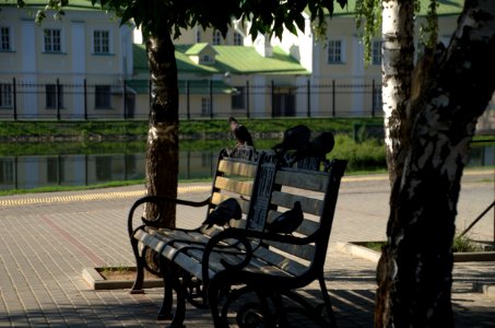 0141_1st_of_August_in_Moscow_Oblast,_Russia