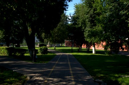 0139_1st_of_August_in_Moscow_Oblast,_Russia