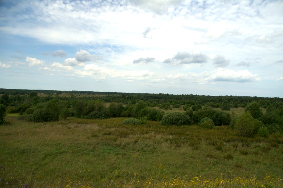 0135_August_2016_in_Tver_Oblast_Russia