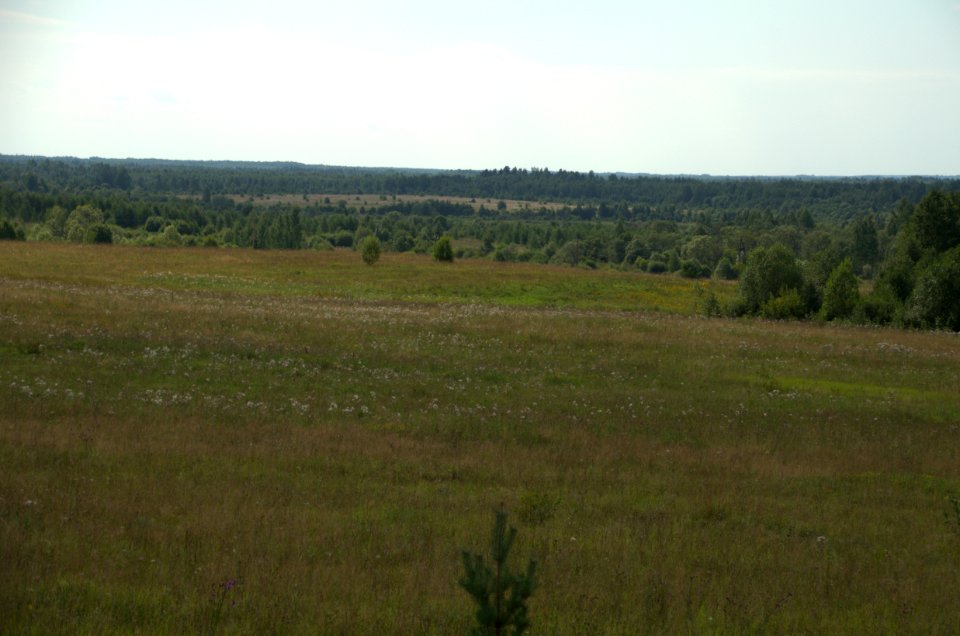 0137_August_2016_in_Tver_Oblast_Russia