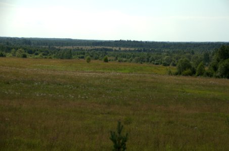 0137_August_2016_in_Tver_Oblast_Russia
