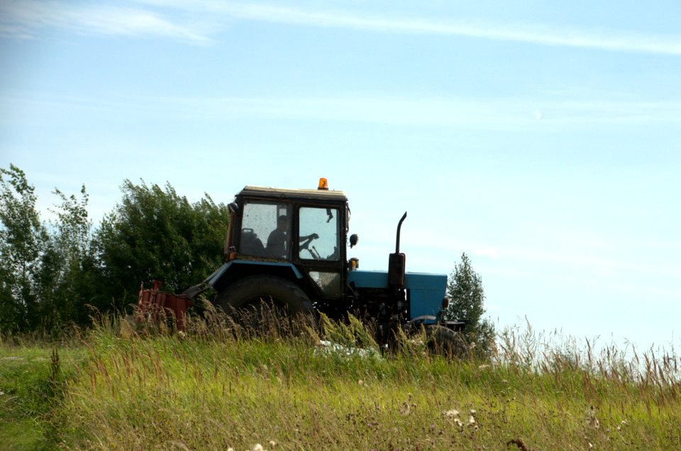 0143_August_2016_in_Tver_Oblast_Russia