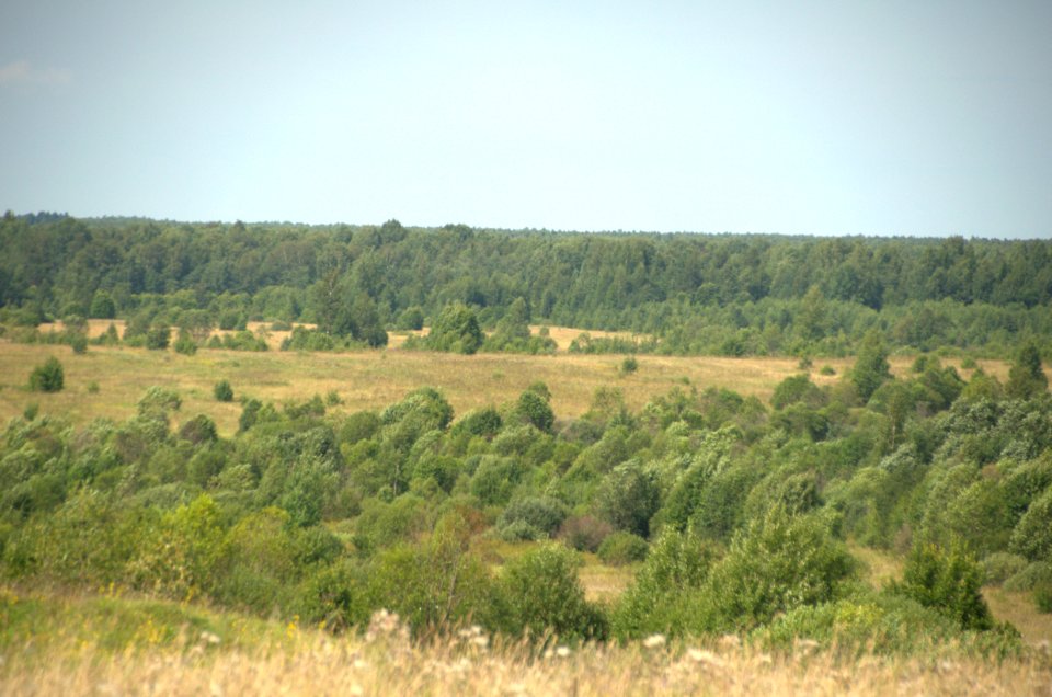 0131_August_2016_in_Tver_Oblast_Russia