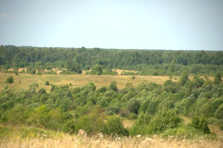 0131_August_2016_in_Tver_Oblast_Russia
