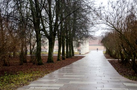 0142-2_December_2015_in_Velikiy_Novgorod