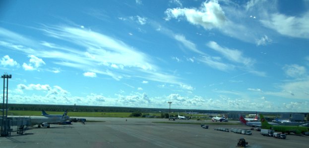 0119_Domodedovo_International_Airport_16th_of_August_2016