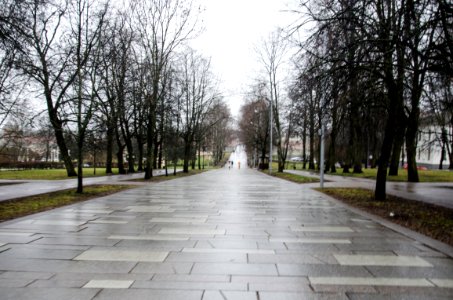 0137-2_December_2015_in_Velikiy_Novgorod